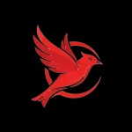 photo_2025-11-14_13-35-00